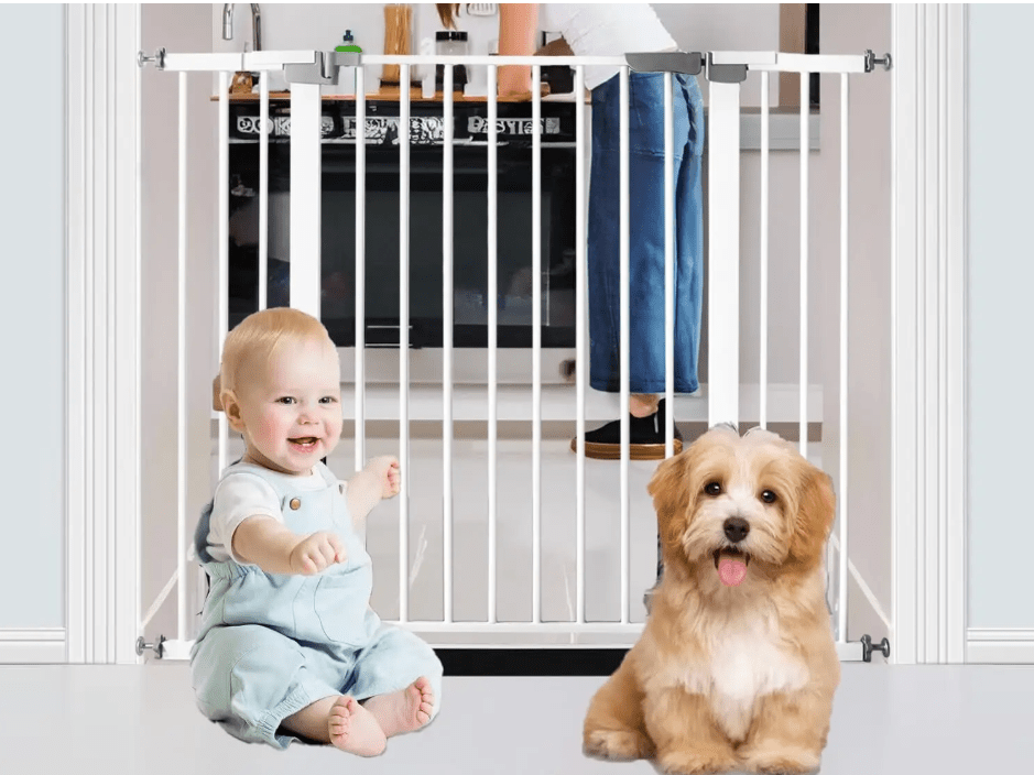 barriere-securite-enfant-blanche-bebe-chien-assis-devant-cuisine-porte-fermee-securibaby