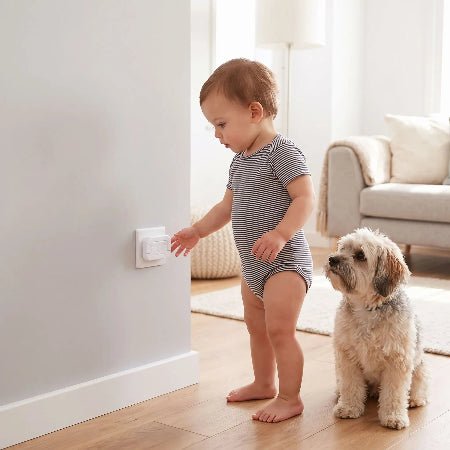 cache-prise-murale-bebe-curieux-chien-observe-salon-lumineux-protection-prise-bebe
